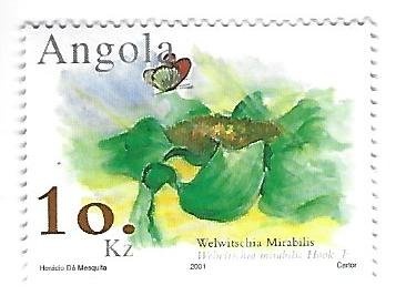 Capitulation of Luanda