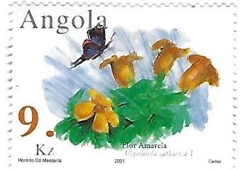 Aardvark (Orycteropus afer)