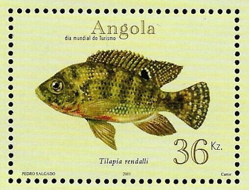 Painted Lady (Vanessa cardui)