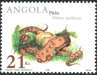 Brown Hairtreak (Thecla betulae)