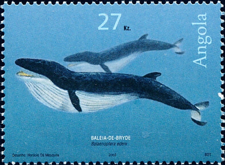 Disney Walt Disney 100th Birth Anniversary