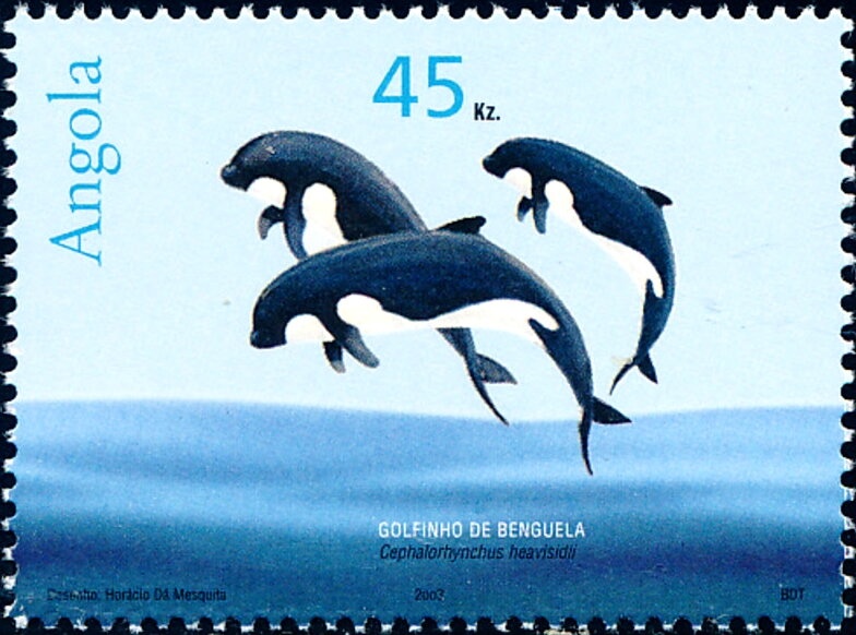 25th Anniversary of the National Radio of Angola