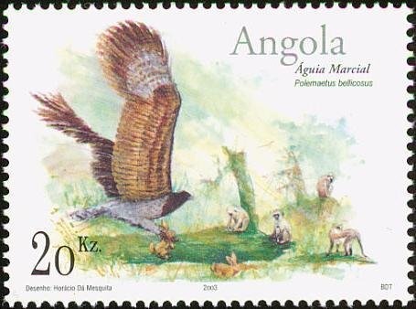 Welwitschia plant holding welwitchia