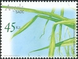 King Carlos I of Portugal (1863-1908)