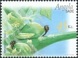 Monarchs - Our Kings