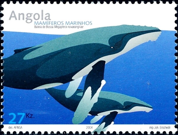 Rowboat Steamed 1870 - Natchez