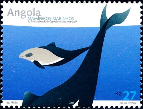 (Euchromia guineensis)