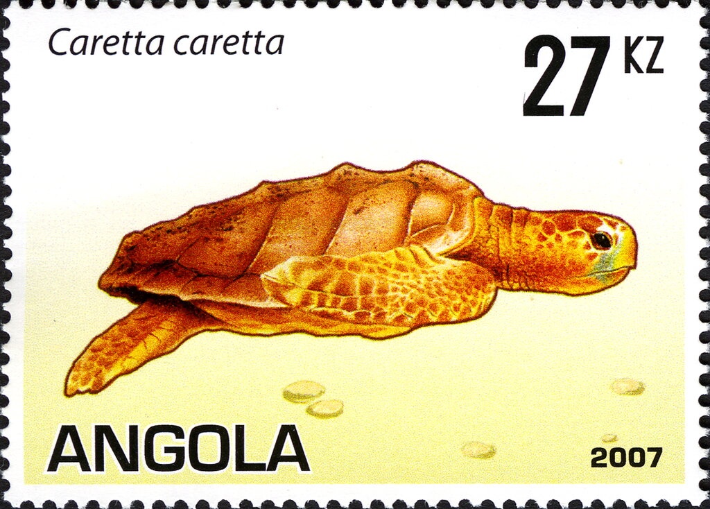 Flora and Fauna Whinchat Overprint