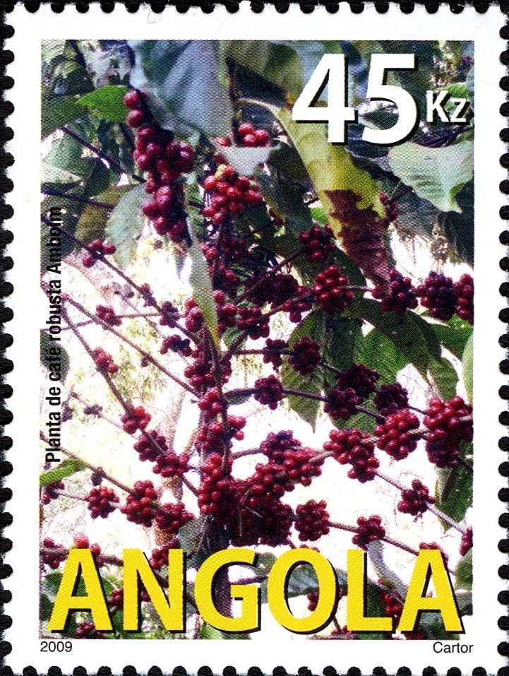 Rainha Njinga Mbande