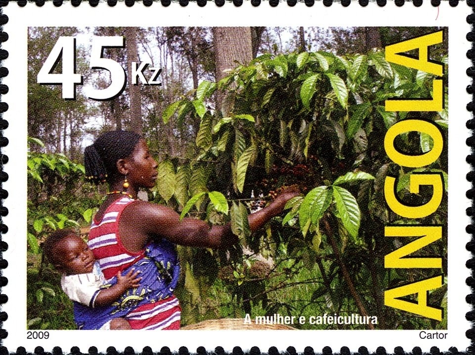 Luis Rebello Silva portrait