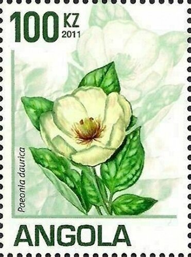 African Men’s Basketball Championships