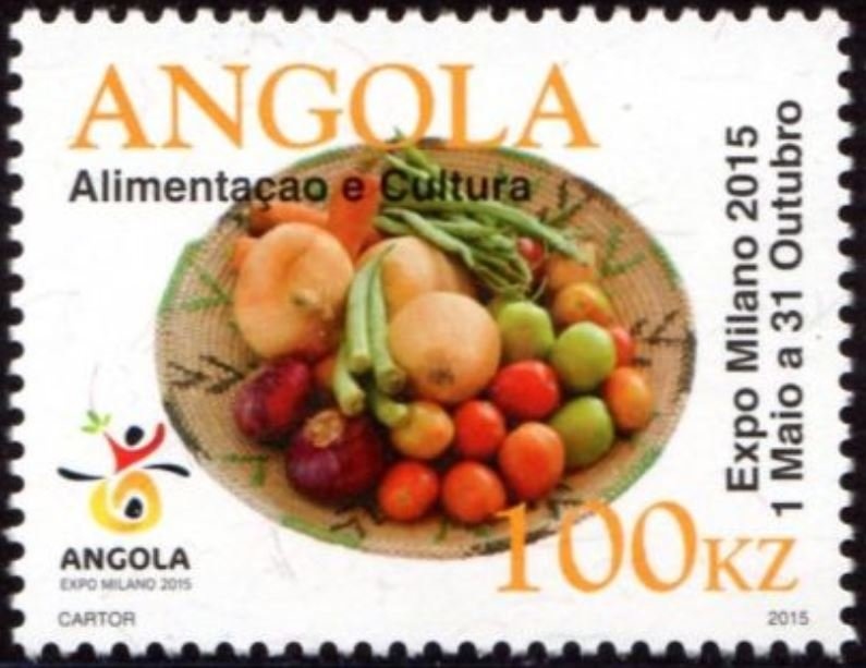 Giant Hairy Melongena (Semifusus morio)