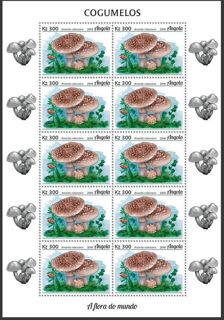 Legend "TAXE PERÇUE/TAXA COBRADA"