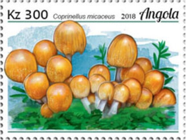 Child, flowers, globe, IYC emblem