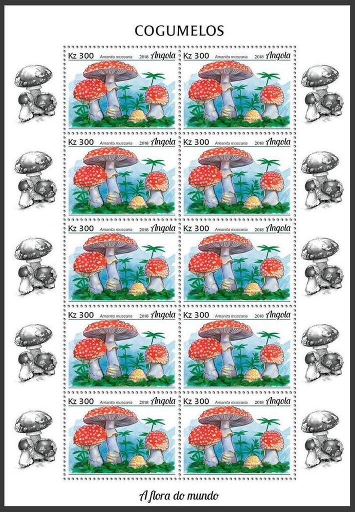 Pope John Paul II with St. Peter's Basilica