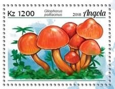 35th anniv. of the Angolan National Bank