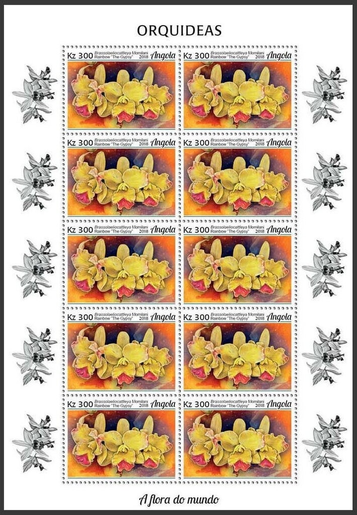 Sarpocom Inbricatum Overprint