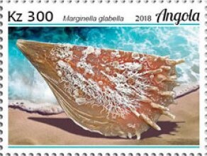 Nelson Mandela in Election Campaign