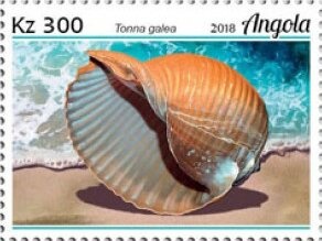 Sitatunga (Limnotragus spekii selousi)