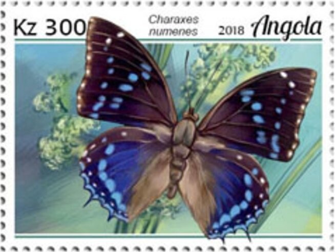 World Summit on the Information Society