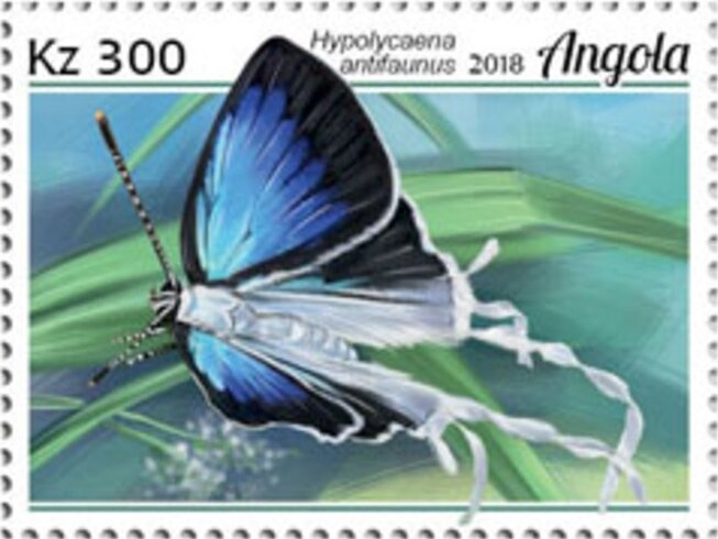 40th Anniversary of introduction of the Kwanza