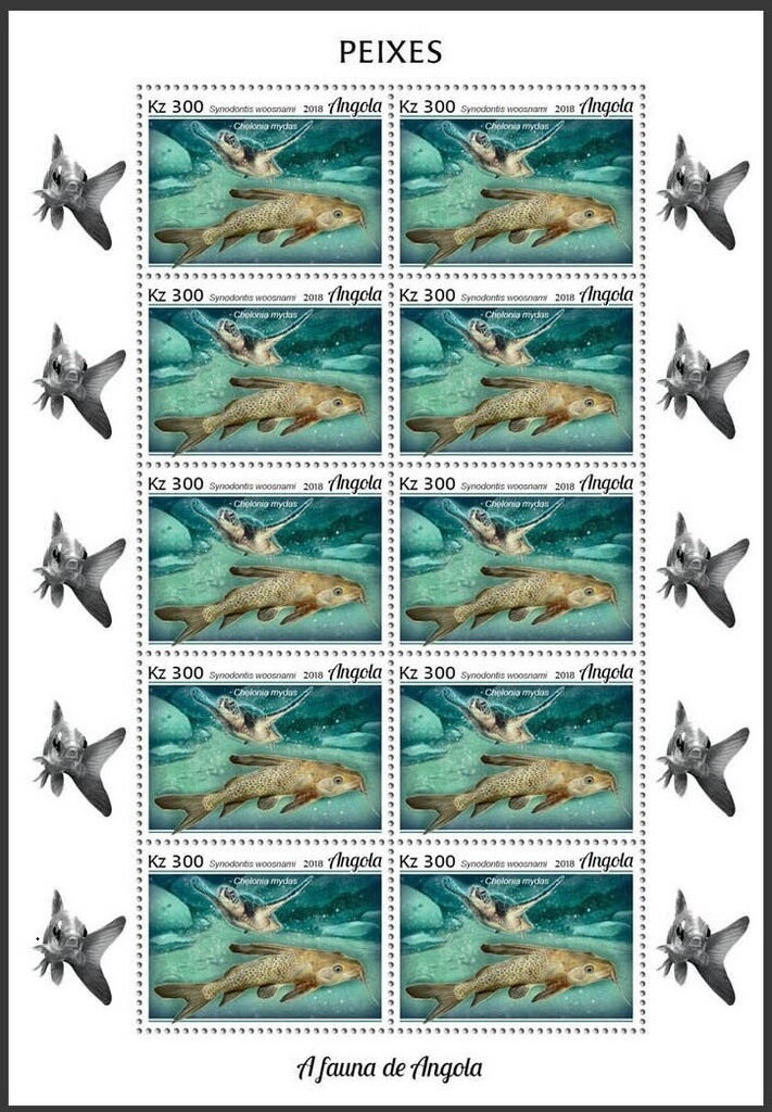 Carrack 1609 - Mother of God