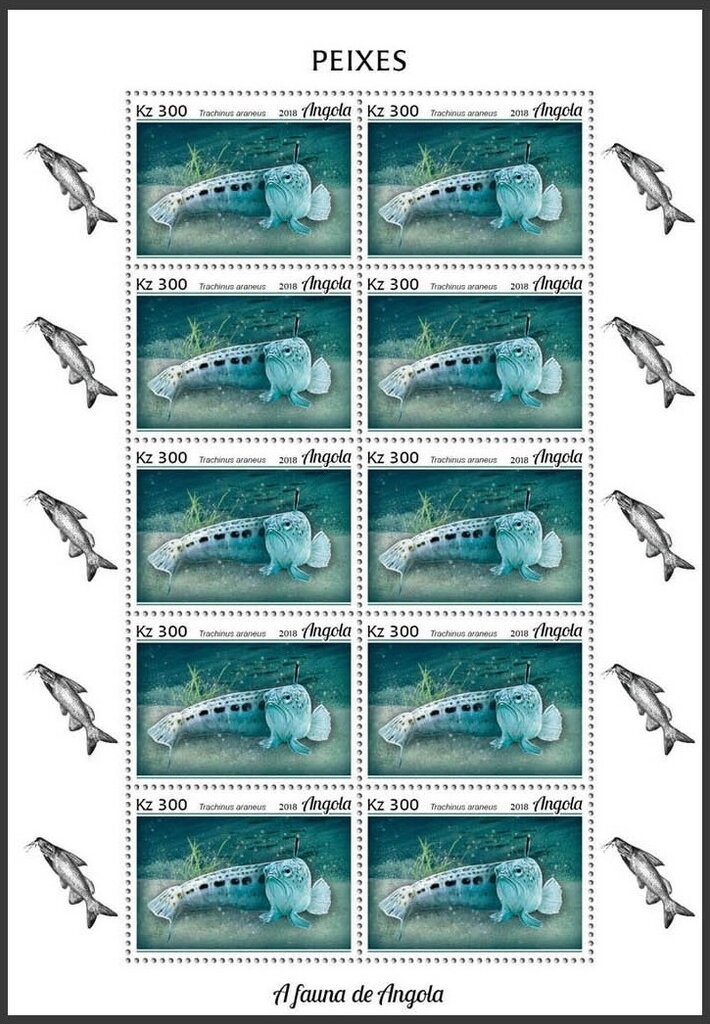 Purple-winged roller (Coracias temminckii)