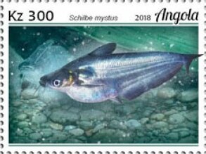 Burchell's Sandgrouse (Pterocles burchelli)