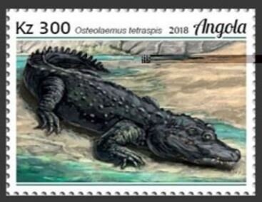 Moscow Olympics Games