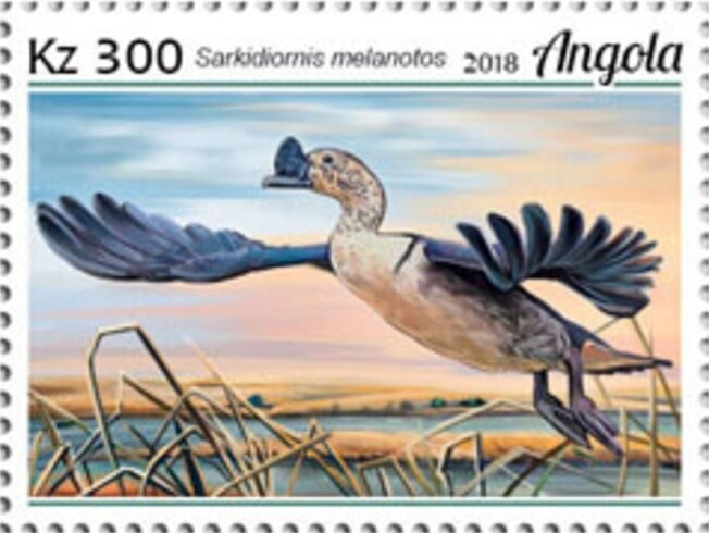 Pope John Paul II with St. Peter's Basilica