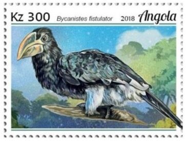 Agaricus xanthodermus