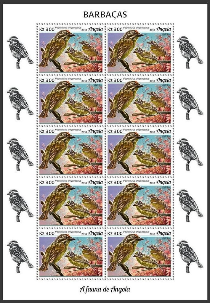 Assistencia-elephant