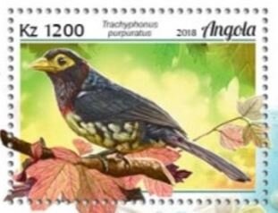 Paintings by Michelangelo Caravaggio