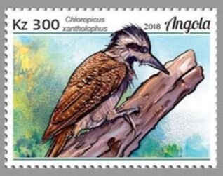 Military Order of Avis