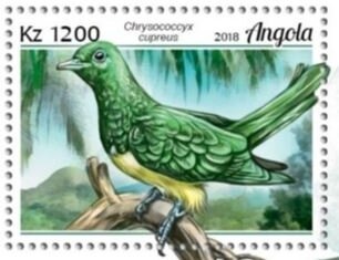 Demidoff's Dwarf Galago (Galagoides demidoff)