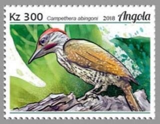 Giant Sable Antelope (Hippotragus niger variani)