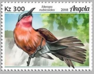 Tree Pangolin (Phataginus tricuspis)