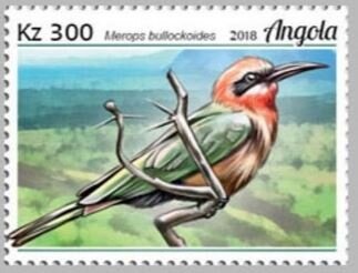 African Golden Cat (Caracal aurata)