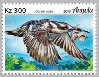 Southern Yellow-billed Hornbill (Tockus leucomelas)