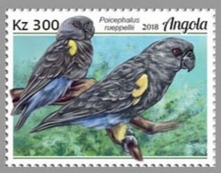 Legend "TAXE PERÇUE/TAXA COBRADA"