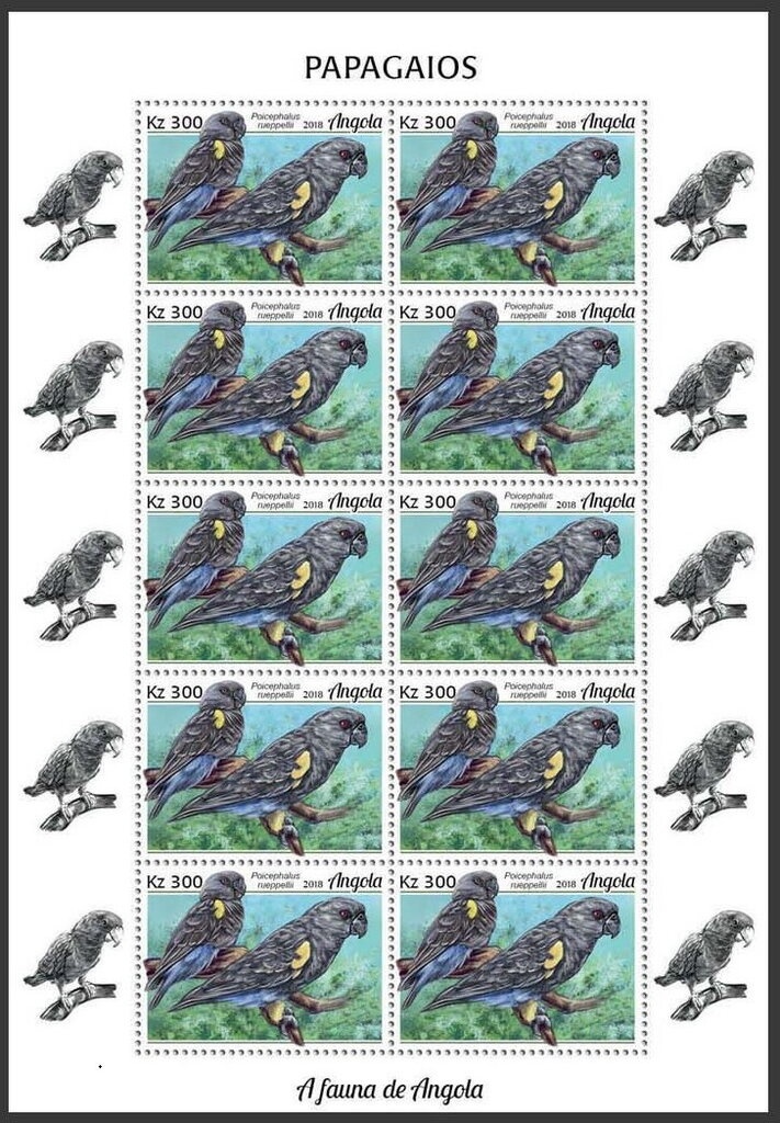 Violet-crowned Hummingbird (Goldmania violiceps)