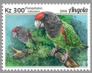 Luna Apollo 11 Module