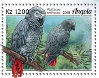 Giant sable antelope (Hippotragus niger variani)