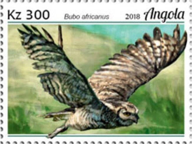 Flora and Fauna Water Rail