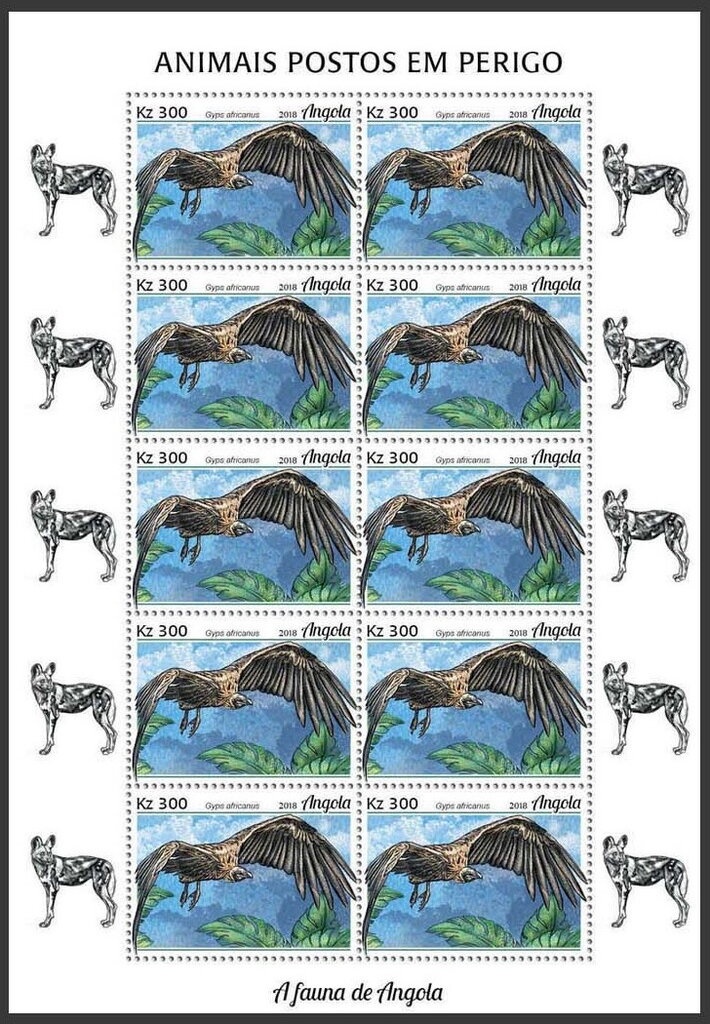 Paintings by Lorenzo Lotto