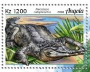 African Fish Eagle - National Bird of Zambia