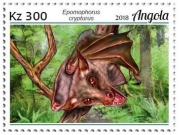 9-11 Twin Towers Terrorist Attack