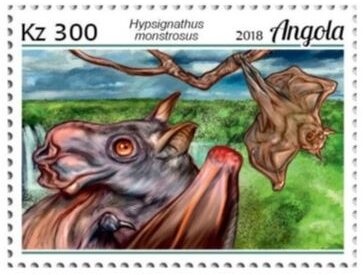 Humboldt's White-fronted Capuchin (Cebus albifrons)