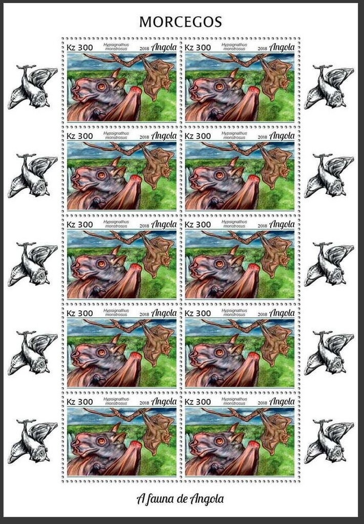 Palm-nut Vulture (Gypohierax angolensis)