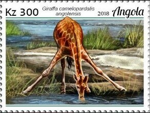 10th Anniversary of the Admission of Angola in the UN